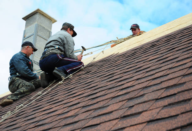 Best Roof Gutter Cleaning  in Mcgehee, AR