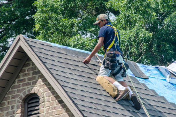 Best Residential Roof Replacement  in Mcgehee, AR